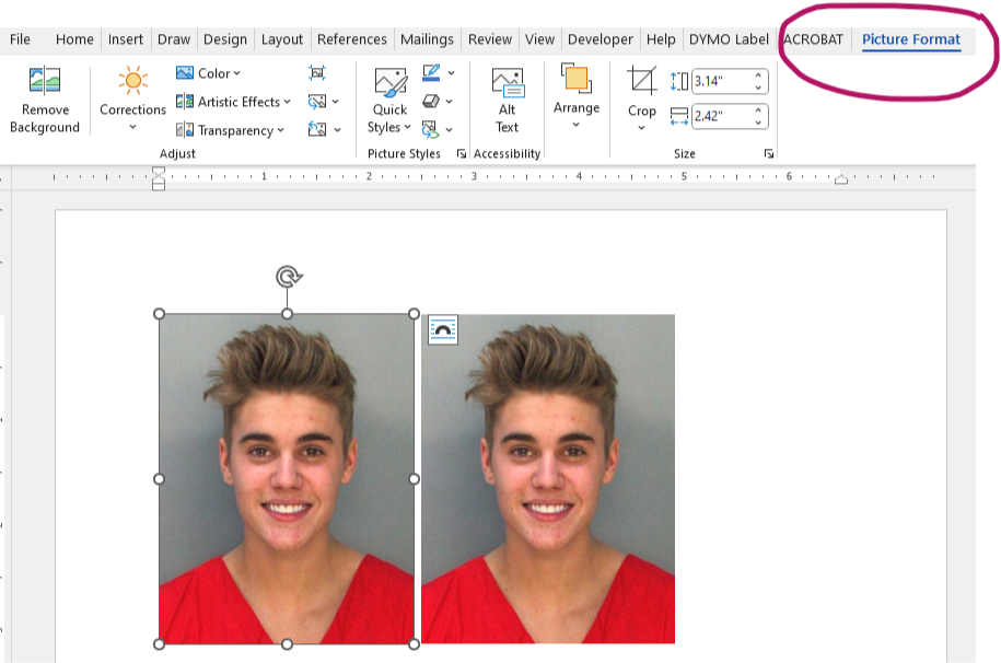 change-background-of-mugshots-with-microsoft-word-blue-crew-forensics